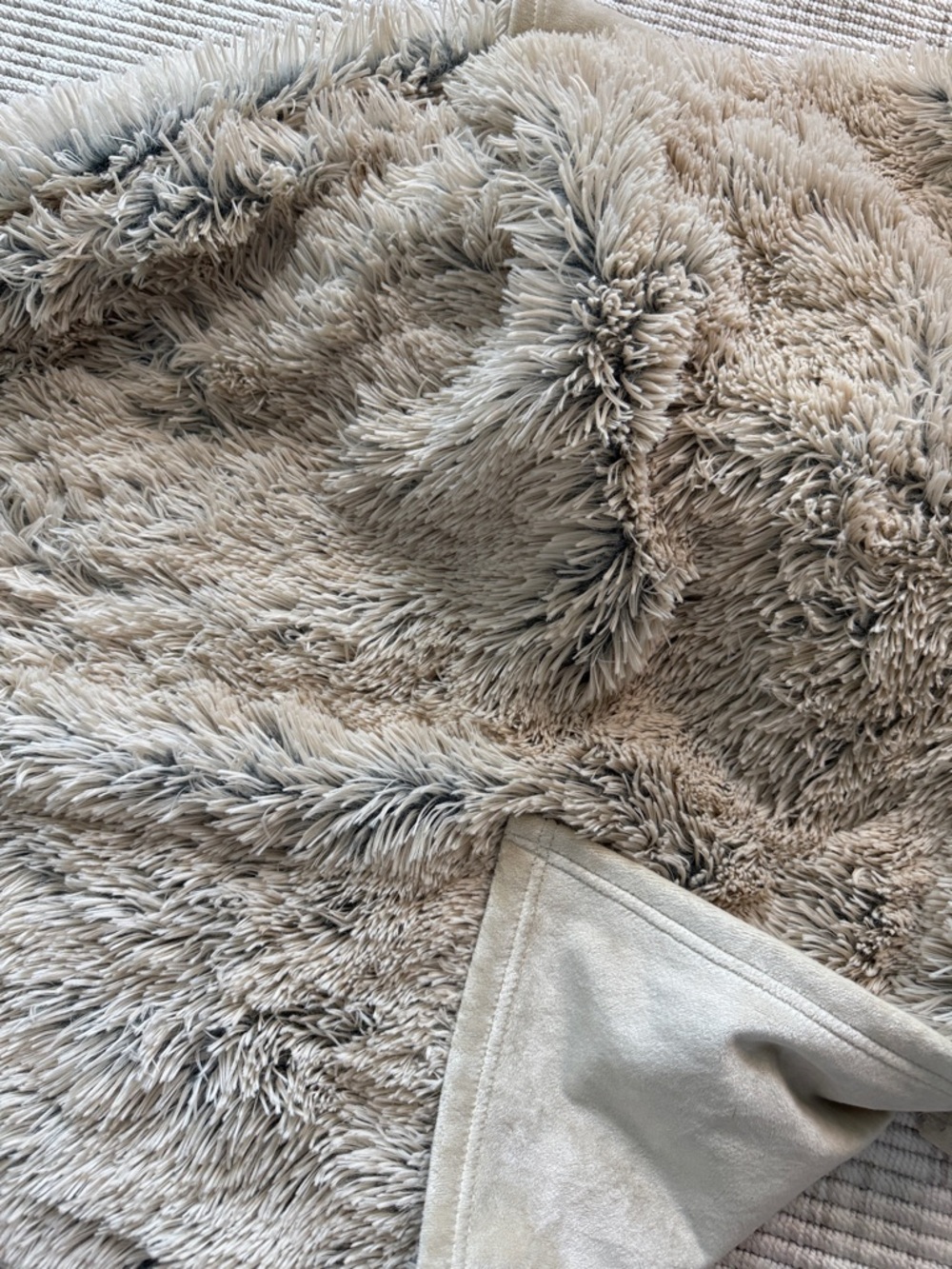 NWT L.L. Bean Waterproof Dog Blanket